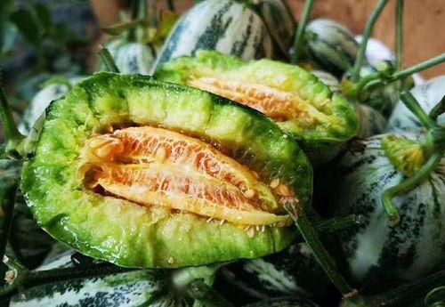 山东网红团队吃瓜,揭秘幕后美食风云 第2张 山东网红团队吃瓜,揭秘幕后美食风云 第2张